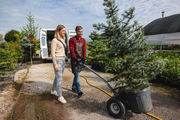 Best Soil Testing and Treatment  in Ouray, CO